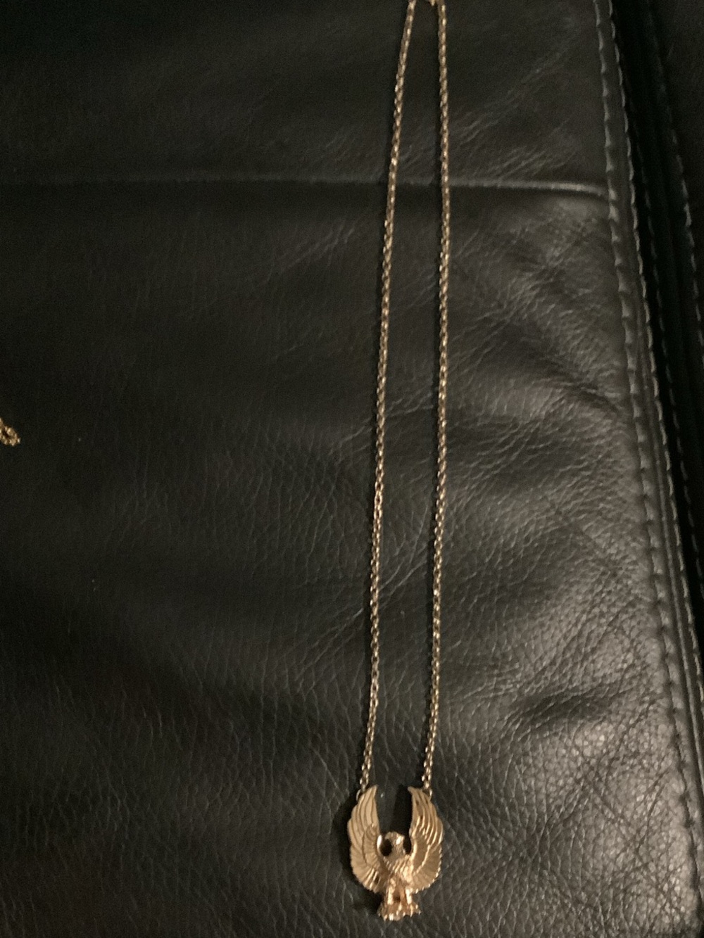 Francis James Navajo Sterling Silver Eagle Pendant Necklace w/Gold Plating